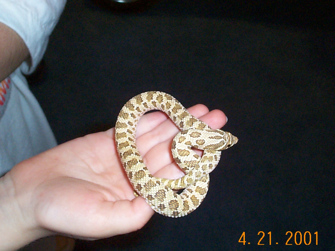 ./2001/Spring Outing/DCP00757.JPG